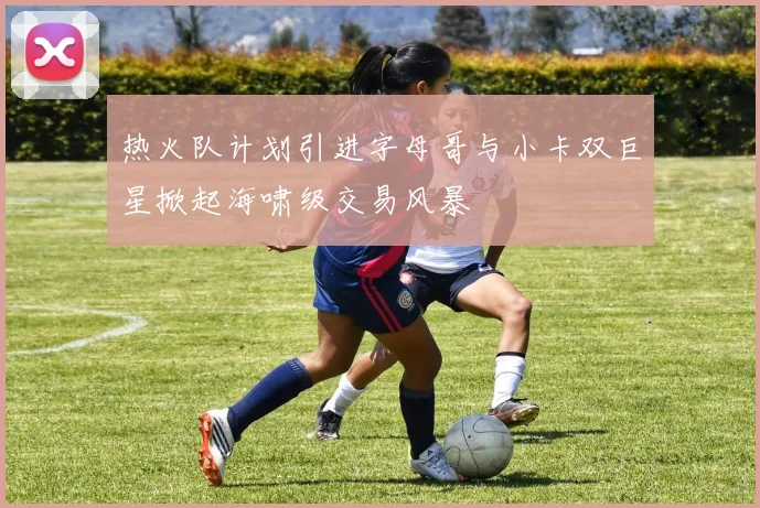 热火队计划引进字母哥与小卡双巨星掀起海啸级交易风暴
