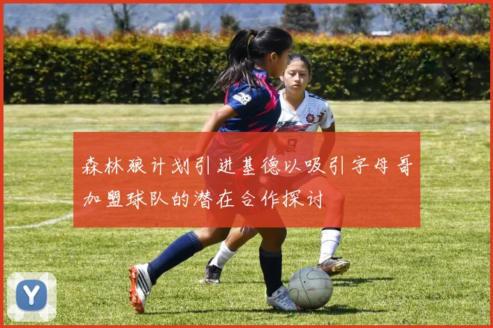 森林狼计划引进基德以吸引字母哥加盟球队的潜在合作探讨