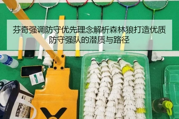 芬奇强调防守优先理念解析森林狼打造优质防守强队的潜质与路径(PANDASPORTS)